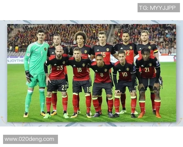 比利时足球明星的辉煌历程与对世界足球的影响分析